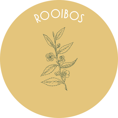 Rooibos