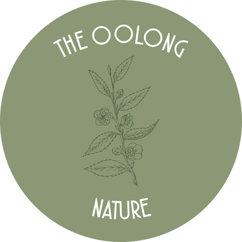 Thés oolongs nature