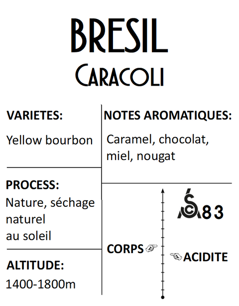 Brésil yellow bourbon caracoli