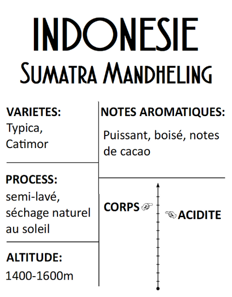 Indonésie Sumatra Mandheling