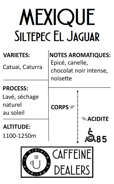 Mexique El Jaguar