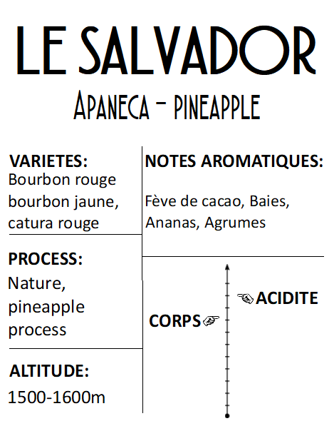 Salvador Apaneca Pineapple process