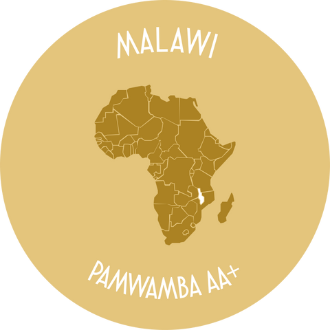 Malawi Pamwamba AA +