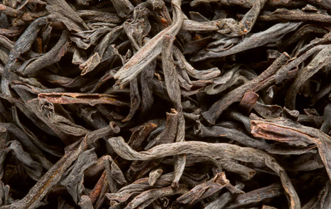 Ceylan O.P. Supérieur