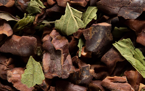 Cacao Menthe